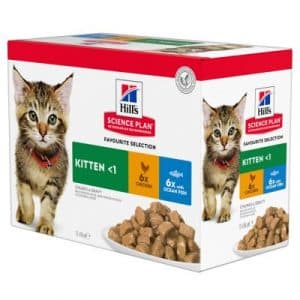 Hill's Science Plan Kitten  - 24 x 85 g Geflügelauswahl