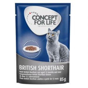 Concept for Life British Shorthair Adult (Ragout-Qualität) - 12 x 85 g