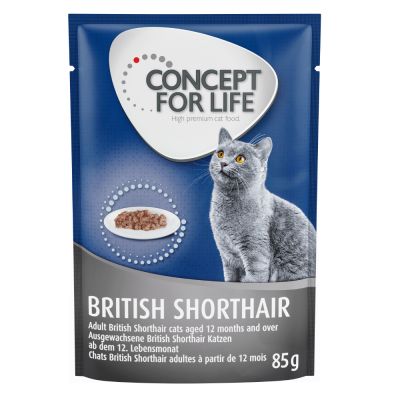 Concept for Life British Shorthair Adult (Ragout-Qualität) - 12 x 85 g