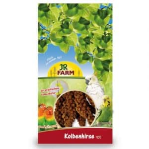 JR Farm Kolbenhirse rot - 2 x 1 kg