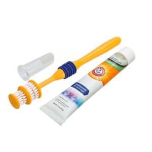 Arm & Hammer Zahnpflege-Set aus Zahnbürste und Zahnpasta - 55 g Zahnpasta