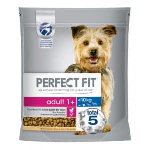 Perfect Fit Adult Hund (