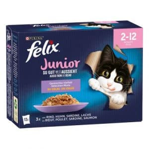 Felix "So gut wie es aussieht" Junior Pouches 48 x 85 g - Huhn