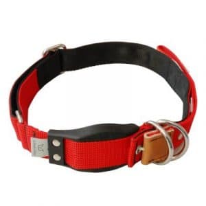 WowWow Hundehalsband Professional