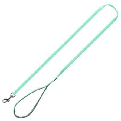 Trixie Premium Leine mint -  XS–S: 120 cm lang
