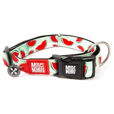 Max & Molly Smart ID Halsband Watermelon  - Größe XS: 22-35 cm Halsumfang