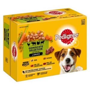 Pedigree Frischebeutel Multipack - 24 x 100 g in Soße