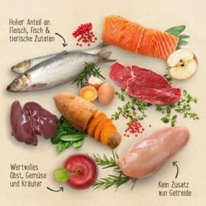 Probierset! Purizon Kitten 400 g und Feringa 6 x 200 g - Set 1: mit Huhn & Kalb