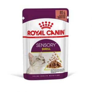 Royal Canin Sensory Smell in Soße - 24 x 85 g