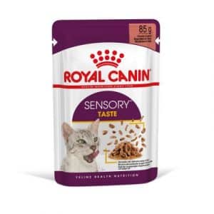 Royal Canin Sensory Taste in Soße - 24 x 85 g