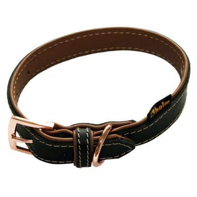 Heim Halsband gefüttert Rosé