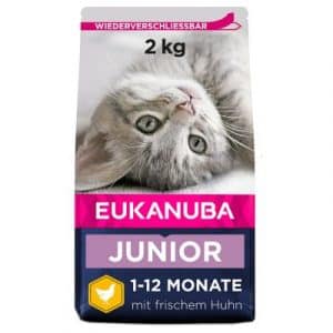 Eukanuba Healthy Start Kitten - Sparpaket: 3 x 2 kg