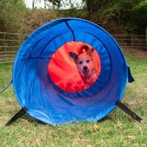 Agility Fun & Sport Sacktunnel - Ø 60 cm