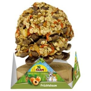 JR Farm Früchtebaum - 2 x 1 Stück