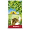 JR Farm Kolbenhirse gelb - 1 kg