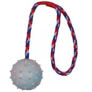 Trixie Hundespielzeug Gummiball mit Schnur - 1 Ball ca. Ø 6 cm