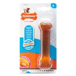 Nylabone Puppybone - 1 Stück