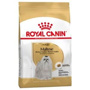 Royal Canin Breed Maltese Adult - 1