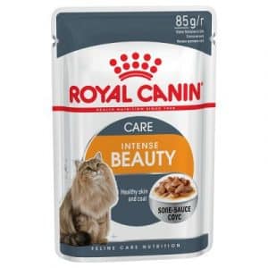 Royal Canin Intense Beauty in Soße - 24 x 85 g