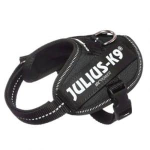 JULIUS-K9 IDC®-Powergeschirr - schwarz - Größe Mini-Mini: Brustumfang 40 - 53 cm