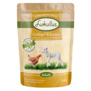 Sparpaket Lukullus Frischebeutel 48 x 300 g -  Naturkost