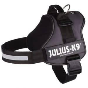JULIUS-K9® Powergeschirr - anthrazit - Gr. 0/M–L: 58–76 cm