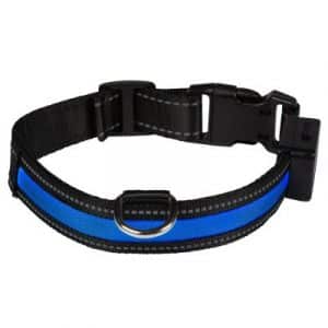 Eyenimal LED-Leuchthalsband - blau - Gr. M: 45 - 55 cm Halsumfang