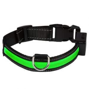 Eyenimal LED-Leuchthalsband - grün - Gr. S: 40 - 45 cm Halsumfang