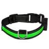 Eyenimal LED-Leuchthalsband - grün - Gr. M: 45 - 55 cm Halsumfang