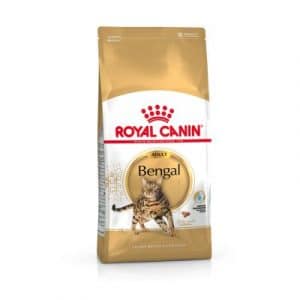 Royal Canin Breed Bengal Adult - 2 kg
