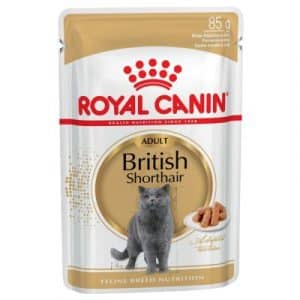 Royal Canin Breed British Shorthair Adult in Soße - 12 x 85 g