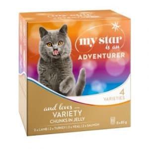 My Star is an Adventurer - Gemischtes Paket - 48 x 85 g (4 Sorten)