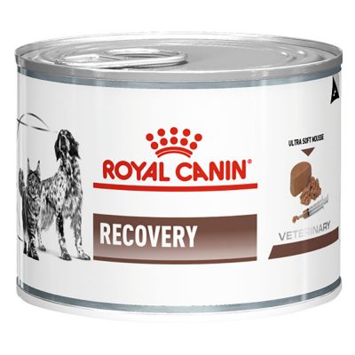 Royal Canin Veterinary Canine Recovery - 24 x 195 g