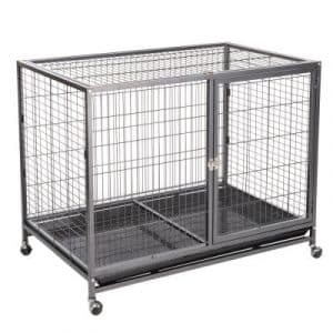 Zimmerkennel Tabby L - L 109