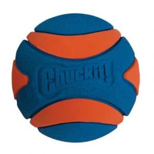 Chuckit! Ultra Squeaker Ball - M: Ø 6