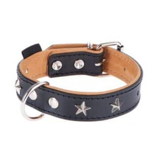 Heim Lederhalsband Stars