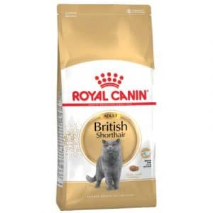 Royal Canin Breed British Shorthair Adult - 10 kg