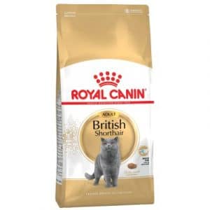 Royal Canin Breed British Shorthair Adult - 2 kg