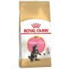 Royal Canin Maine Coon Kitten - 4 kg