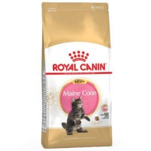 Royal Canin Maine Coon Kitten - 4 kg