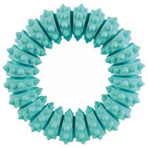 Trixie Denta Fun Ring - Ø 12 cm