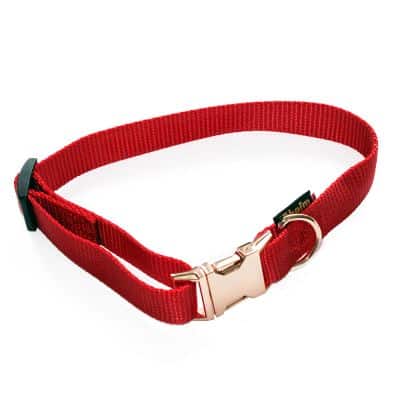 Heim Halsband geriegelt Rosé