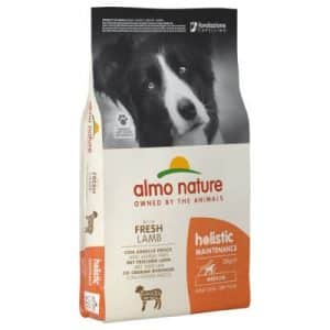 Almo Nature Holistic Adult Lamm & Reis Medium - Sparpaket: 2 x 12 kg