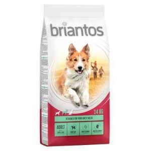 Briantos Adult Lamm & Reis - 14 kg