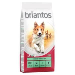 Briantos Adult Lamm & Reis - Sparpaket: 2 x 14 kg