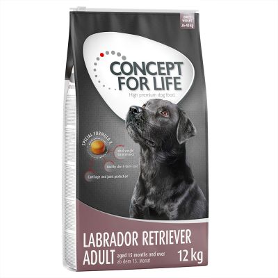 Concept for Life Labrador Retriever Adult - 12 kg