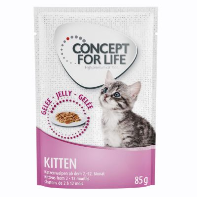 Concept for Life Kitten - in Gelee - 24 x 85 g