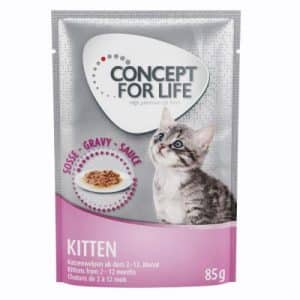 Concept for Life Kitten - in Soße - 24 x 85 g