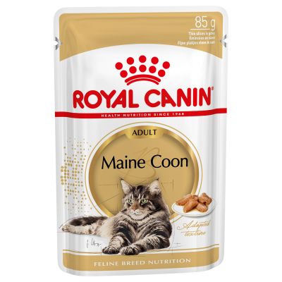 Royal Canin Breed Maine Coon Adult in Soße - 12 x 85 g