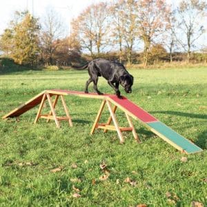 Trixie Dog Activity Agility Steg - L 456 x B 30 x H 64 cm